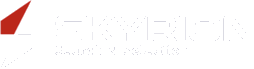 Skyrion Search & Selection